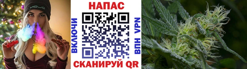Купить где  Киржач  МАРИХУАНА планчик 